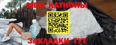 индика Гатчина