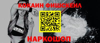 индика Гатчина