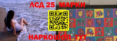 индика Гатчина
