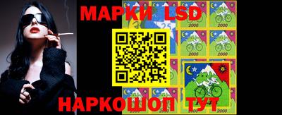 амф Гай