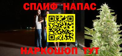 индика Гатчина