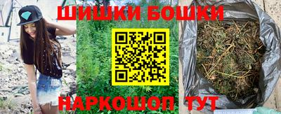 индика Гатчина