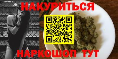 индика Гатчина