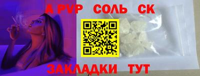 индика Гатчина