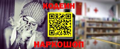 индика Гатчина