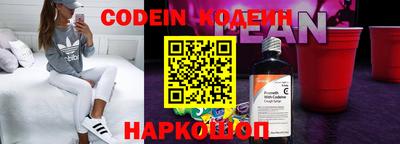 индика Гатчина