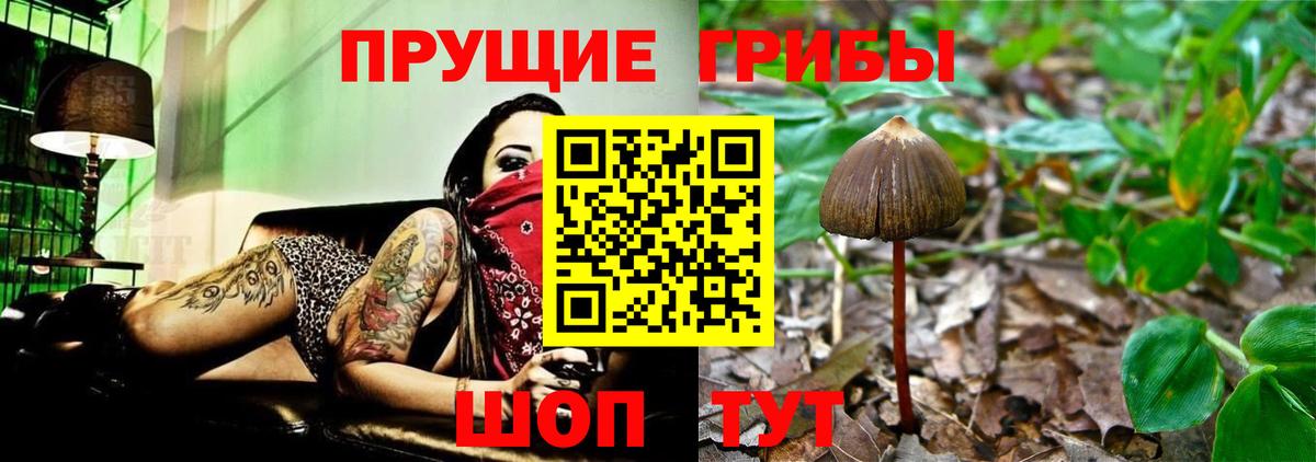 Галлюциногенные грибы мухоморы  закладка  Галлюциногенные грибы прущие грибы  Выкса  Вход с VPN 